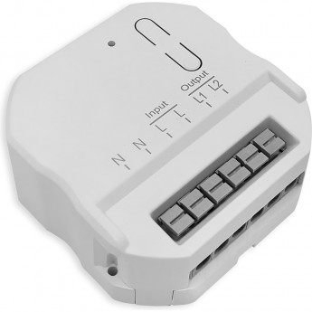 Контроллер для управления осветительным оборудованием FERON LD303 на 2 канала радиочастотный 2.6А канал