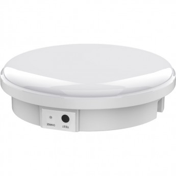 Светильник светодиодный FERON AL3025 с БАП в пластиковом корпусе 12W 6500K IP65 белый Светильник светодиодный FERON AL3025 с БАП в пластиковом корпусе 12W 6500K IP65 белый