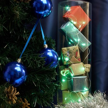 Светодиодная гирлянда FERON CL570 линейная, зеленый, 2м + 0.5м, с питанием от батареек, прозрачный шнур Светодиодная гирлянда FERON CL570 линейная, зеленый, 2м + 0.5м, с питанием от батареек, прозрачный шнур